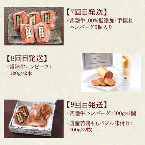 12ヶ月 定期便 肉 高級肉 常陸牛 Aコース  肉のイイジマ（DU-111）