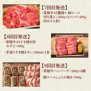 12ヶ月 定期便 肉 常陸牛 Bコース  肉のイイジマ（DU-112）
