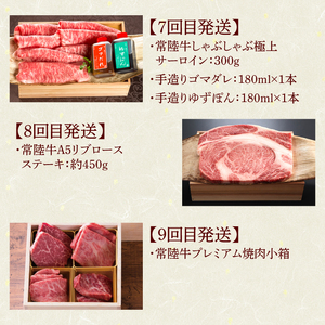 12ヶ月 定期便 肉 常陸牛 Cコース 肉のイイジマ（DU-113）