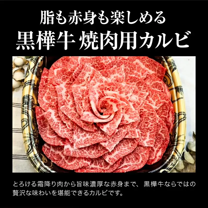 くまもと黒毛和牛 黒樺牛 A4～A5等級 焼肉用カルビ 500g 株式会社杉本本店 《90日以内に出荷(土日祝除く)》熊本県 菊池市 牛肉 牛 霜降り 赤身 お肉 焼き肉 BBQ 黒毛和牛 国産 九州産 熊本県産 冷凍 送料無料