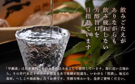 早瀬浦 純米酒 1800ml × 1本 【入手困難 日本酒 就職祝い 転職祝い ハレの日 ギフト プレゼント お祝い お返し お礼 お中元 お歳暮 父の日 敬老の日 】[m06-a014]