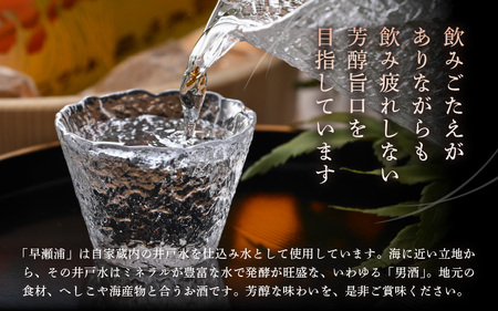 早瀬浦 純米吟醸 さかほまれ 1800ml × 1本 【入手困難 日本酒 就職祝い 転職祝い ハレの日 ギフト プレゼント お祝い お返し お礼 お中元 お歳暮 父の日 敬老の日 】[m06-a015]