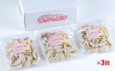 【定期便3回】浜松餃子のまっちゃん餃子まっちゃん餃子40ヶ入り×3袋　計120ヶセット【配送不可：沖縄県・離島】 惣菜 冷凍生餃子 冷凍餃子 おかず つまみ 