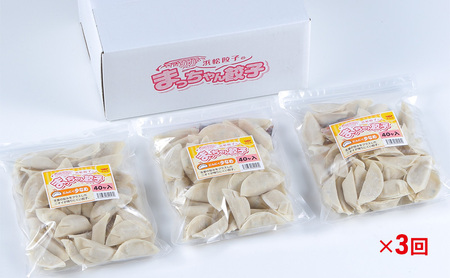 【定期便3回】浜松餃子のまっちゃん餃子にんにく少なめ餃子40ヶ入り×3袋　計120ヶセット【配送不可：沖縄県・離島】 冷凍生餃子 冷凍餃子 おかず つまみ 