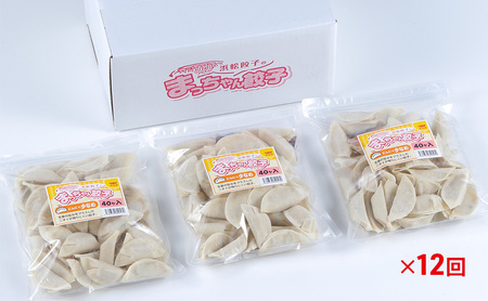 【定期便12回】浜松餃子のまっちゃん餃子にんにく少なめ餃子40ヶ入り×3袋　計120ヶセット【配送不可：沖縄県・離島】 冷凍生餃子 冷凍餃子 おかず つまみ 