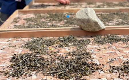 「大抜茶」新茶3種【為近農園 釜炒り茶(25g)・コハマ農園 緑茶(60g)・ 山本製茶園 玉緑茶(50g)】