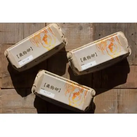 佐野市飛駒町産　大久保養鶏場　飛駒卵　30個(10個入り×3パック)_卵・乳製品 卵  たまご タマゴ 玉子_【配送不可地域：離島】【1472212】