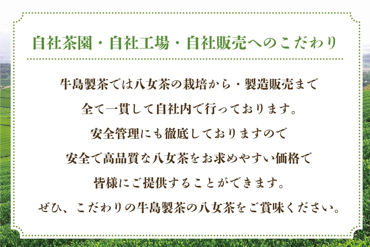 【新茶】【ギフト対応可能】2026年 江戸友禅の和モダンな缶に 八女新茶ギフト 新茶 お茶 緑茶 ギフト プレゼント ラッピング 包装 028-014