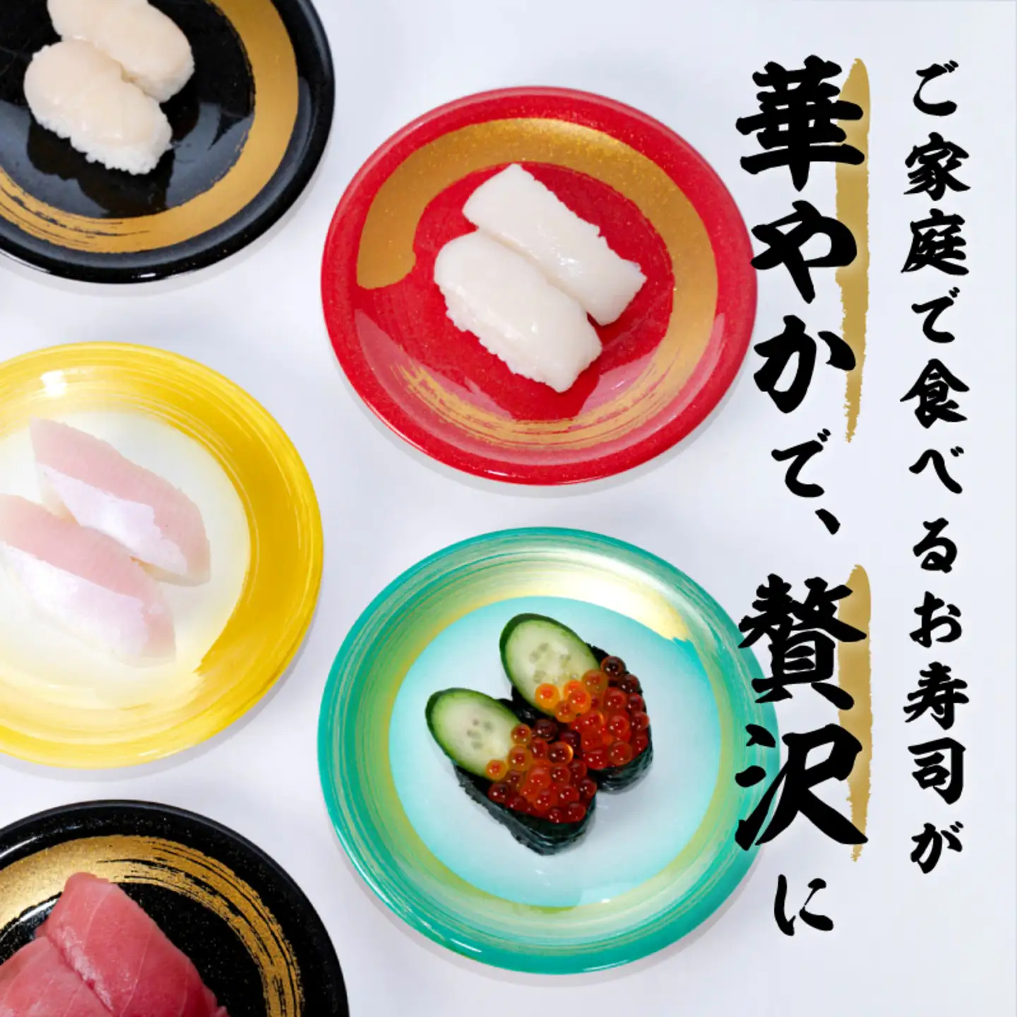 寿司皿10枚セット