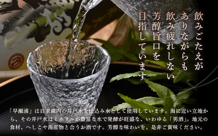入手困難 早瀬浦 純米大吟醸 山田錦 1800ml × 1本 【入手困難 日本酒 就職祝い 転職祝い ハレの日 ギフト プレゼント お祝い お返し お礼 お中元 お歳暮 父の日 敬老の日】[m06-e001]