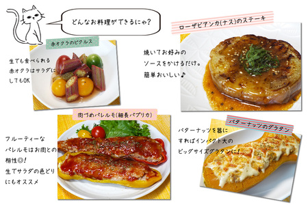 【 2026年 9月より順次発送】 野菜ソムリエ “産直松の実の松原店長” 厳選 ！ ヨーロッパ 野菜 BOX 8品 ／ 人気 産直 採れたて 新鮮野菜 季節野菜 夏野菜 国産 産地直送 期間限定 数量限定 仕送り 詰合わせ 詰め合わせ 詰め合せ 詰合せ セット おすすめ 予約 予約受付 早期予約