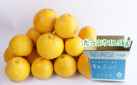 【訳あり】 愛南ゴールド 約10.5kg 柑橘 フルーツ みかん 河内晩柑  