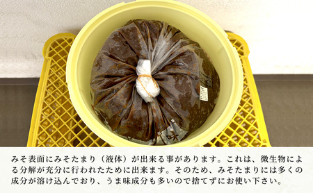 壱年みそ ちゅうくち5キロ 米こうじ 手造り 壱年味噌 伝統食品 豆造 甘酒 塩こうじ 丸大豆 国産 米 発酵 完熟 