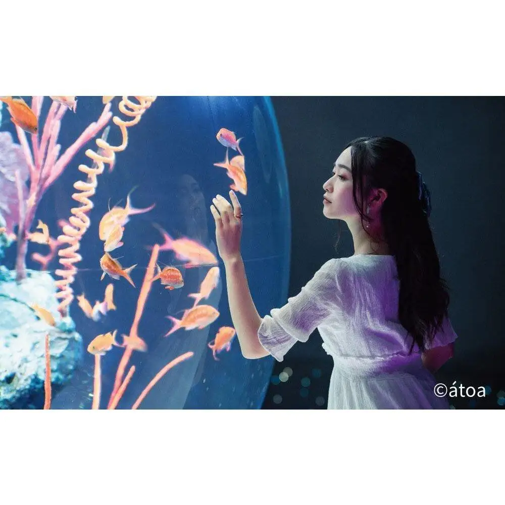 神戸の港の水族館　AQUARIUM ×ART atoa　ロケーションレンタル＜1時間＞1組5名様