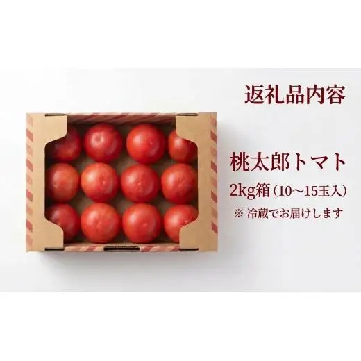 トマト  ＜先行予約＞ 2kg箱(10～15玉入) 樹上熟3段採り 桃太郎トマト 北海道 安平町 【1472504】