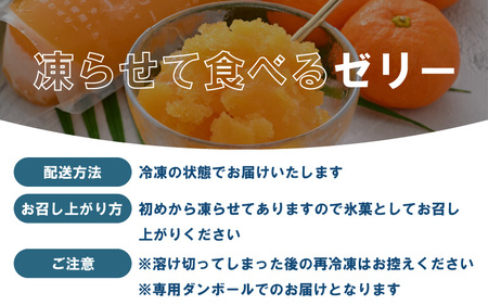 凍らせて食べるゼリー 詰め合わせ4種 12個入 ゼリー [m01-a008]