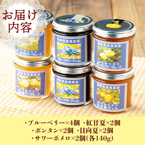 isa553 《数量限定》5種のバラエティージャム食べ比べセット(計12個・ブルーベリー×4、紅甘夏×2、ボンタン×2、サワーポメロ×2、日向夏×2)加工食品 果物 フルーツ 詰め合わせ 果肉 柑橘 低糖 ハンドメイド ジャム ギフト マーマレード【薩摩美食倶楽部】