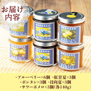 isa554 《数量限定》5種のバラエティージャム食べ比べセット(計18個・ブルーベリー×6、紅甘夏×3、ボンタン×3、サワーポメロ×3、日向夏×3)加工食品 果物 フルーツ 詰め合わせ 果肉 柑橘 低糖 ハンドメイド ジャム ギフト マーマレード【薩摩美食倶楽部】