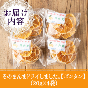 isa568 《数量限定》ドライフルーツボンタン「そのまんまドライしました。」(計4袋・各20g) ドライフルーツ ボンタン 砂糖不使用 小分け 手づくり ギフト 加工食品 果物 フルーツ ハンドメイド ギフト【薩摩美食倶楽部】
