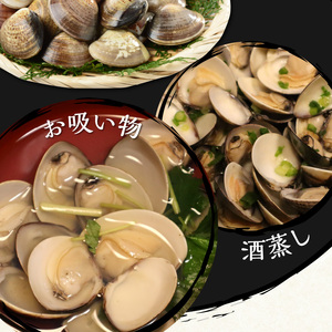 KKN水産 天然!! 有明海産の本ハマグリ（小 約1.2kg） _U111-0002