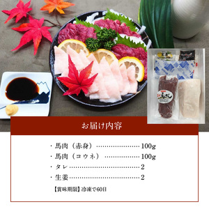 熊本県産馬刺しセット約200ｇ（赤身100ｇ・コウネ100ｇ） ※タレ、生姜付 _U118-0005