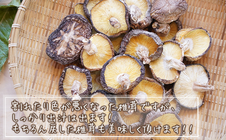 宮崎県産 乾燥 椎茸 100g×1袋 チャック袋入 [ HUTTE 宮崎県 美郷町 31ao0013]