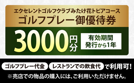  エクセレントゴルフクラブ ゴルフ場利用券 3,000円分[AVAJ001]ゴルフ 利用券 岐阜県 東海 ゴルフ場