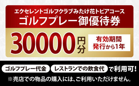 ゴルフ場 利用券 30,000円分[AVAJ006]ゴルフ 利用券 岐阜県 東海 ゴルフ場