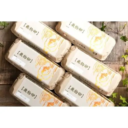 大久保養鶏場の飛駒卵　60個(10個入り×6パック)_卵・乳製品 卵  たまご タマゴ 玉子_【配送不可地域：離島】【1485697】