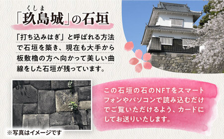 玖島城石垣の石 NFT 大村市大村市役所商工観光部ふるさと物産振興課[ACBI002]