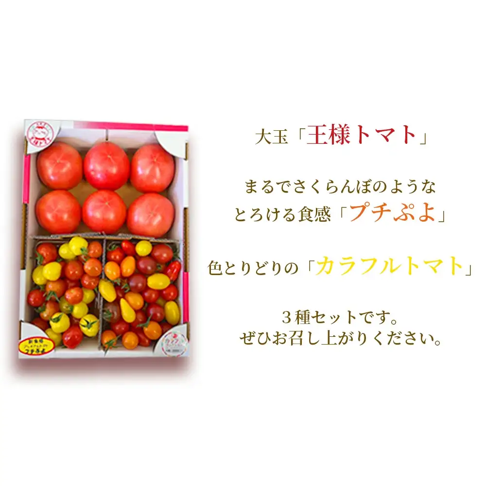 トマト詰め合わせ3点セット　【11218-0714】