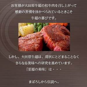 大田原牛 特上 シャトーブリアン （フィレ） ステーキ 2枚セット | ブランド牛 和牛 牛肉  高級 ヒレ 300g