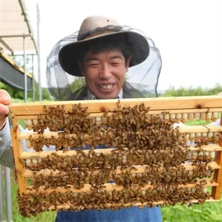 100g　国産はちみつ　生ローヤルゼリー　ローヤルゼリー専門養蜂場で採取　_調味料 はちみつ  ハチミツ 蜂蜜_【配送不可地域：離島】【1278562】