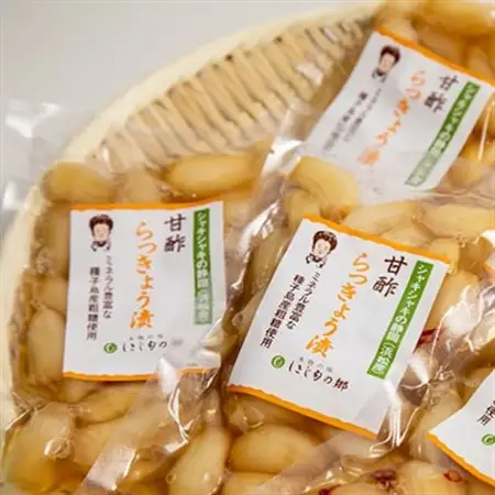 らっきょう甘酢漬け 静岡県浜松産 110g×5袋セット_惣菜・加工品  漬物 _【配送不可地域：離島】【1482872】