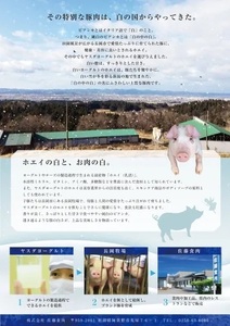 【6か月定期便】純白のビアンカコース 毎月違うお肉をお届け 計4kg超 豚バラ 豚ロース 骨付き ポークステーキ しゃぶしゃぶ 焼肉 豚肉 ぶた ぶた肉 肉 お肉 国産 冷凍 BBQ 新鮮 新潟県 阿賀野市 1D22055