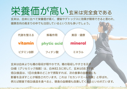 【令和7年産】【6ヶ月定期便】【炊飯器で普通に炊ける玄米】 ふっくら玄米食 6kg（2kg×3）×6回 新潟県 阿賀野市産 米杜氏 壱成 特別栽培コシヒカリ 1H33133