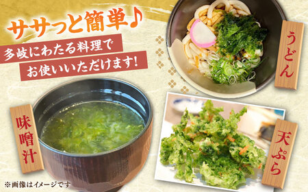 天然 生あおさ 6袋（60g/袋） [JAQ003] アオサ 海藻