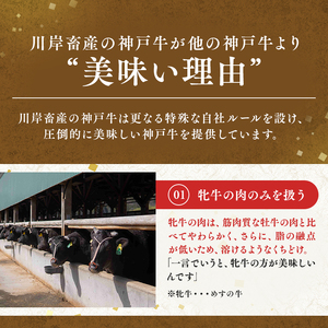 神戸ビーフ 神戸牛 牝 6か月連続 お届け 定期便 最高級セット 食べ比べ 焼肉 すき焼き しゃぶしゃぶ ステーキ 冷凍 肉 牛肉 すぐ届く お肉 和牛 食材 グルメ ブランド牛 日本産 国産 夕飯 晩御飯 夜ごはん