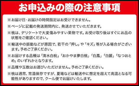 岡山の白桃 エース 約1.5kg(5～6玉) 【配送不可地域あり】