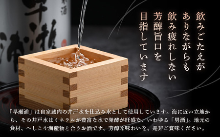 入手困難【早瀬浦】本醸造 1800ml × 2本 セット(のし無し)【日本酒 地酒 福井 美浜 早瀬 フルーティ 男酒 硬水 ミネラル 希少 ご褒美 家飲み 敬老の日 プレゼント】[m16-b026]