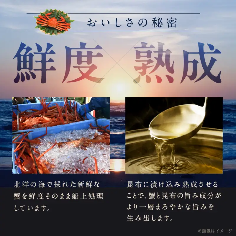 生ずわい蟹 2kg 5Lサイズ 4肩前後 昆布仕立て