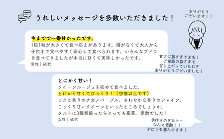 TK13　ぶどう クイーンルージュ®  約1kg ／2026年9月下旬～10月中 配送予定 // 稀少 新品種 長野県 南信州 松川町産 高糖度 葡萄 クインルージュ® 甘い 種なし 皮ごと