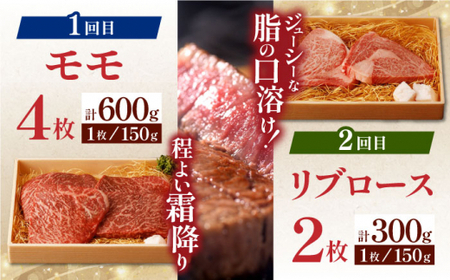 【全6回定期便】 長崎和牛 ステーキざんまいコース 総計2.5kg / モモ リブロース イチボ サーロイン ランプ ヒレ / 肉 牛肉 ステーキ 焼肉 / 波佐見町 / 野中精肉店 [VF81] 九州 九州産