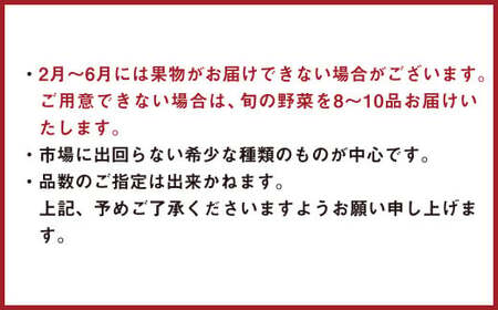 152-1057 【北海道・沖縄県・離島への配送不可】 豊後大野市の旬の お野菜 くだもの セット 8～10品 大分県産 フルーツ 旬 青果 