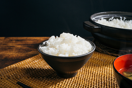 【令和8年産新米先行予約】新潟産 コシヒカリ 精米10kg（5kg×2袋）《10月上旬～順次出荷》 ミネラル豊富な土壌で育ったお米 加茂市 太蔵ファーム
