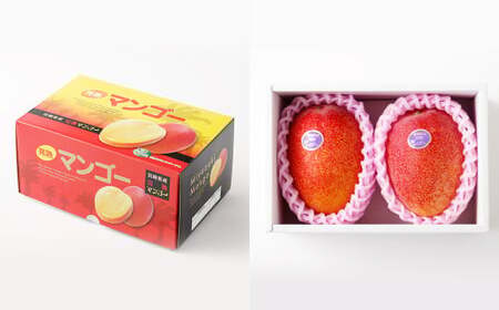 ＜宮崎県 完熟マンゴー4L×2玉 1kg＞2026年4月上旬～7月上旬までに順次出荷【c1163_hi_x2】 マンゴー 完熟 果物 くだもの フルーツ 高鍋町