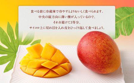 ＜宮崎県 完熟マンゴー2L×2玉 700g＞2026年4月上旬～7月上旬までに順次出荷【HI-f-001】 マンゴー 完熟 果物 くだもの フルーツ 高鍋町