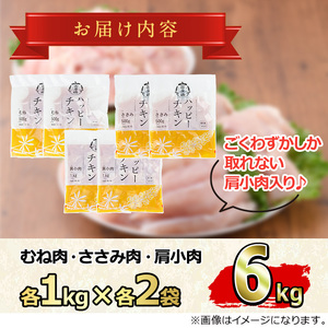【0124806a-2609】＜2026年9月発送予定＞国産若鶏肉ヘルシーセット(合計6kg・ムネ、ささみ、肩小肉) 鶏肉 鳥肉 とり肉 むね肉 おかず 小分け 国産 【エビス】