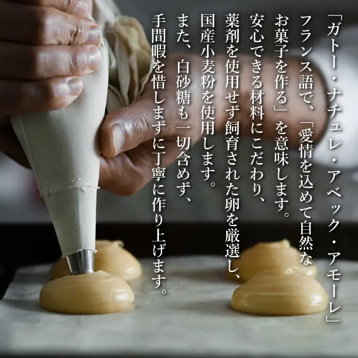 弁天堂 ザッハトルテ 4号サイズ×2個 ザッハトルテ