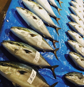 天然ブリスモーク(冷凍)×3パック/魚介 おつまみ 燻製/富山県射水市